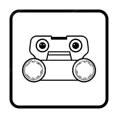 Binocular Cameras