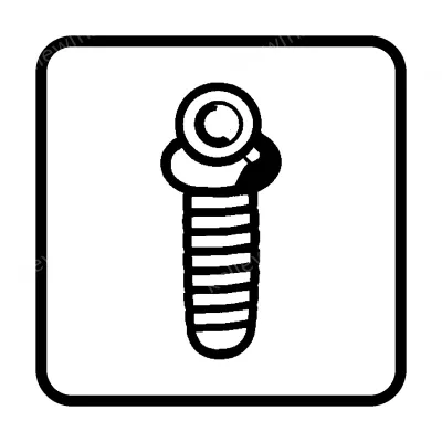 Colored Decorative Screw