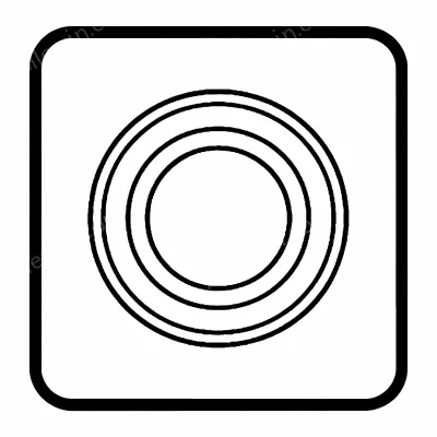 O-Rings