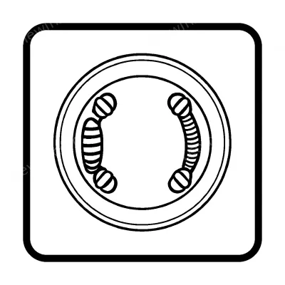 Bearings EK/EF